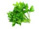 Parsley